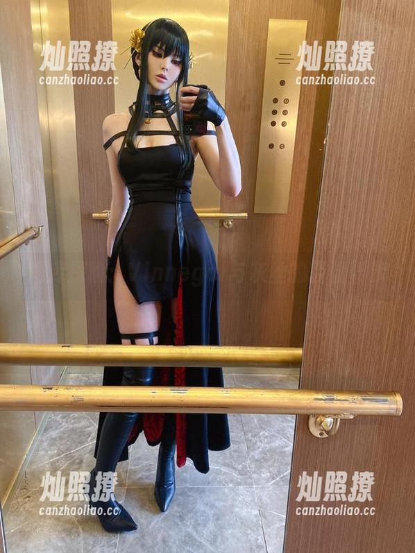Vinnegal 图库探险:Vinnegal与灰丝的轻盈舞步