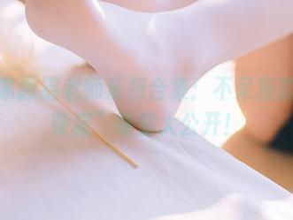 在线家教猫老师系列合集：不呆猫的“废柴猫”课堂大公开！