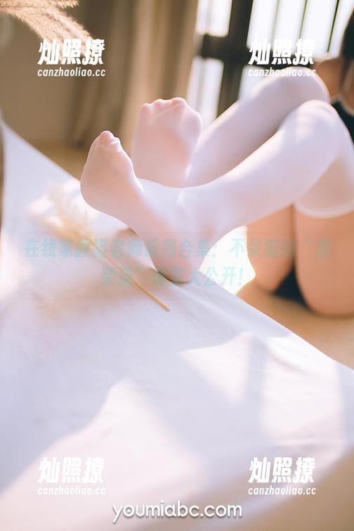 在线家教猫老师系列合集：不呆猫的“废柴猫”课堂大公开！