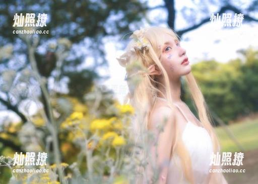 在下萝莉控ii的微博配图更新——在文字与影像之间的迷失.